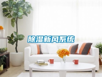 行業(yè)新聞除濕新風(fēng)系統(tǒng)
