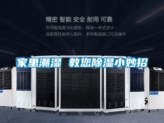 行業(yè)新聞家里潮濕 教您除濕小妙招