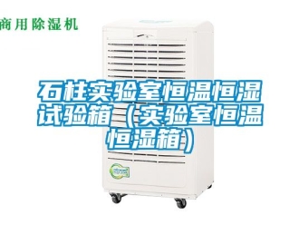 知識百科石柱實驗室恒溫恒濕試驗箱（實驗室恒溫恒濕箱）