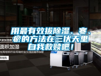 企業(yè)新聞用最有效拔除濕、寒、瘀的方法在三伏天里自我救贖吧！