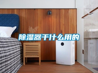 行業新聞除濕器干什么用的