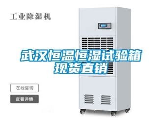 知識(shí)百科武漢恒溫恒濕試驗(yàn)箱現(xiàn)貨直銷(xiāo)