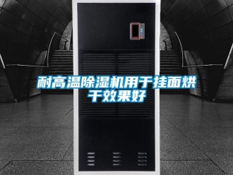 行業(yè)新聞耐高溫除濕機用于掛面烘干效果好