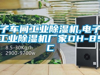 企業(yè)新聞電子車間工業(yè)除濕機(jī),電子車間工業(yè)除濕機(jī)廠家DH-890C