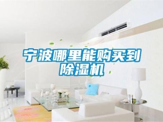 行業新聞寧波哪里能購買到除濕機