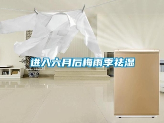行業新聞進入六月后梅雨季祛濕