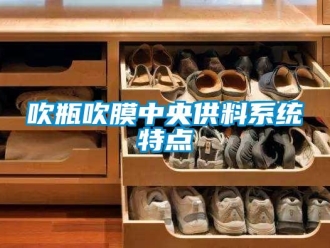 企業(yè)新聞吹瓶吹膜中央供料系統(tǒng)特點(diǎn)