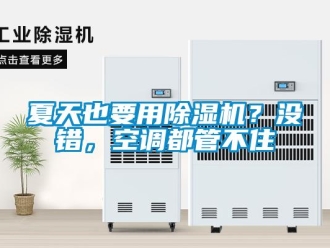 行業新聞夏天也要用除濕機？沒錯，空調都管不住