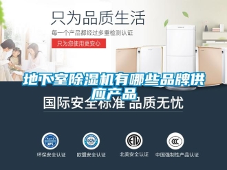 企業(yè)新聞地下室除濕機(jī)有哪些品牌供應(yīng)產(chǎn)品