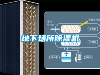 行業(yè)新聞地下場所除濕機(jī)
