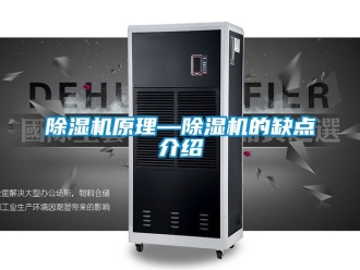行業(yè)新聞除濕機(jī)原理—除濕機(jī)的缺點(diǎn)介紹