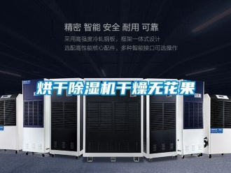 行業新聞烘干除濕機干燥無花果