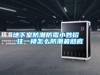 企業新聞地下室防潮防霉小妙招  住一樓怎么防潮最徹底