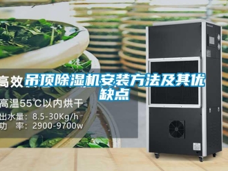 行業(yè)新聞吊頂除濕機(jī)安裝方法及其優(yōu)缺點(diǎn)