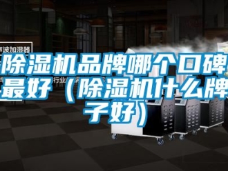 企業新聞除濕機品牌哪個口碑最好（除濕機什么牌子好）