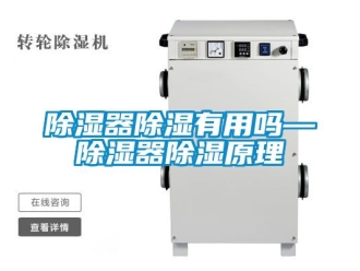 行業(yè)新聞除濕器除濕有用嗎—除濕器除濕原理