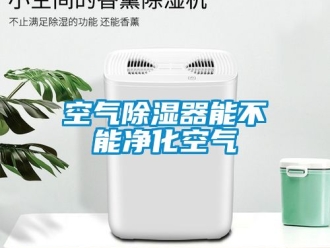 行業新聞空氣除濕器能不能凈化空氣