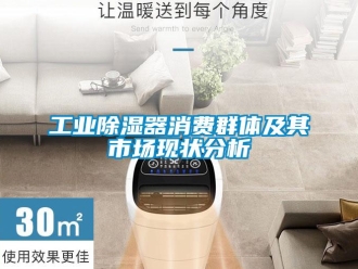 行業(yè)新聞工業(yè)除濕器消費群體及其市場現(xiàn)狀分析