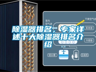 行業新聞除濕器排名，專家詳述十大除濕器排名介紹