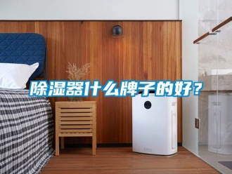 行業新聞除濕器什么牌子的好？