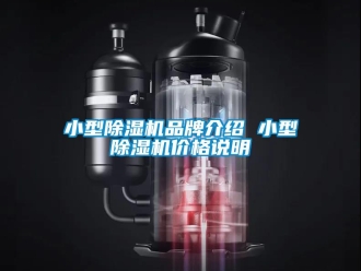 企業新聞小型除濕機品牌介紹 小型除濕機價格說明