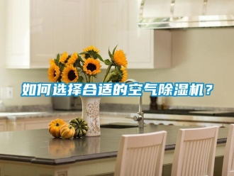 行業新聞如何選擇合適的空氣除濕機？
