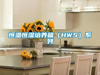 知識百科恒溫恒濕培養(yǎng)箱（HWS）系列