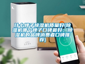 企業(yè)新聞什么牌子除濕機(jī)質(zhì)量好(除濕機(jī)哪個牌子口碑最好，除濕機(jī)的品牌消費者口碑推薦)