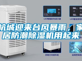 行業新聞杭城迎來臺風暴雨，家居防潮除濕機用起來