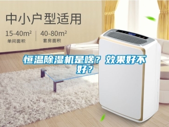 知識百科恒溫除濕機是啥？效果好不好？