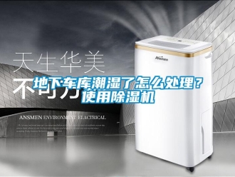 行業新聞地下車庫潮濕了怎么處理？使用除濕機
