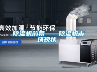 行業(yè)新聞除濕機前景——除濕機市場現(xiàn)狀‍‍