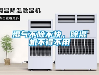 知識百科濕氣不除不快，除濕機不得不用