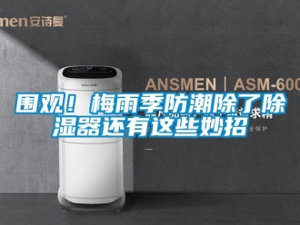 行業新聞圍觀！梅雨季防潮除了除濕器還有這些妙招