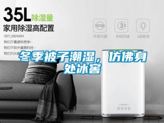 企業(yè)新聞冬季被子潮濕，仿佛身處冰窖