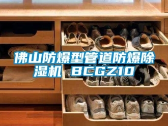 企業新聞佛山防爆型管道防爆除濕機 BCGZ10