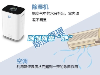 企業(yè)新聞除濕就靠“她”