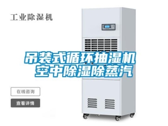 企業(yè)新聞吊裝式循環(huán)抽濕機(jī) 空中除濕除蒸汽