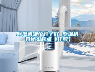 行業新聞除濕機哪個牌子好 除濕機有什么缺點【詳解】