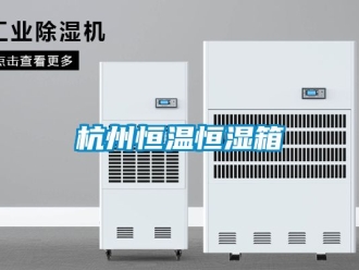 知識(shí)百科杭州恒溫恒濕箱