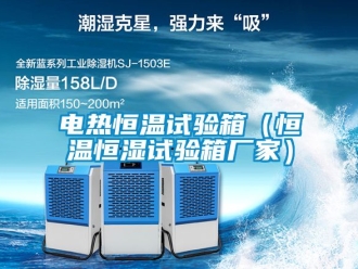 知識百科電熱恒溫試驗箱（恒溫恒濕試驗箱廠家）