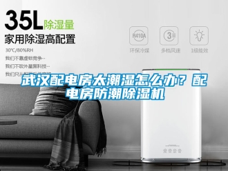 行業新聞武漢配電房太潮濕怎么辦？配電房防潮除濕機