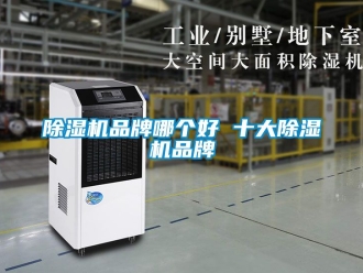 企業新聞除濕機品牌哪個好 十大除濕機品牌