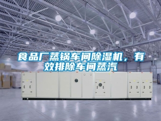 企業新聞食品廠蒸鍋車間除濕機，有效排除車間蒸汽