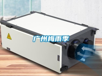 行業(yè)新聞廣州梅雨季