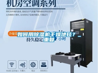 行業(yè)新聞如何用除濕機(jī)干燥地毯？_重復(fù)