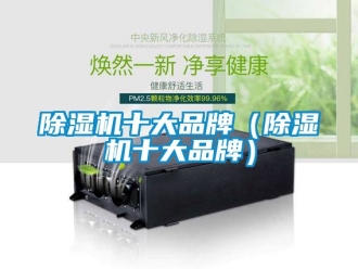 企業新聞除濕機十大品牌（除濕機十大品牌）