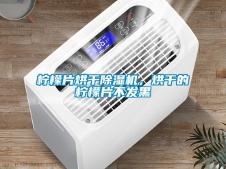 行業新聞檸檬片烘干除濕機，烘干的檸檬片不發黑