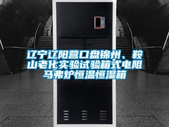 知識百科遼寧遼陽營口盤錦州、鞍山老化實驗試驗箱式電阻馬弗爐恒溫恒濕箱