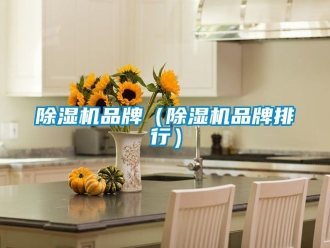 企業(yè)新聞除濕機(jī)品牌（除濕機(jī)品牌排行）